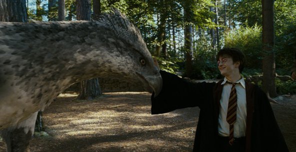 Buckbeak from Harry Potter. Image credit: Warner Bros.