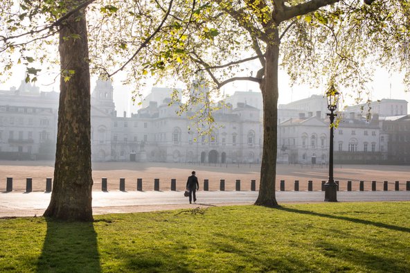 Atmospheric view of St James&#x27;s Park in early sunlight with green grass and tall trees above a solitary walker as he crosses the deserted road to Horseguards Parade.